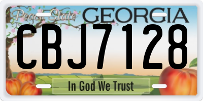 GA license plate CBJ7128