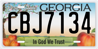 GA license plate CBJ7134