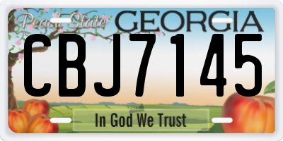 GA license plate CBJ7145