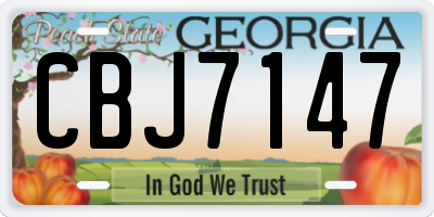 GA license plate CBJ7147