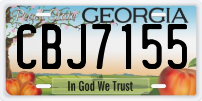 GA license plate CBJ7155