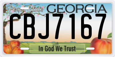 GA license plate CBJ7167