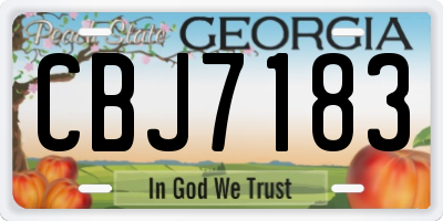 GA license plate CBJ7183