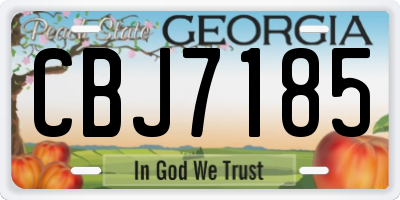 GA license plate CBJ7185