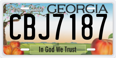 GA license plate CBJ7187