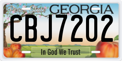 GA license plate CBJ7202