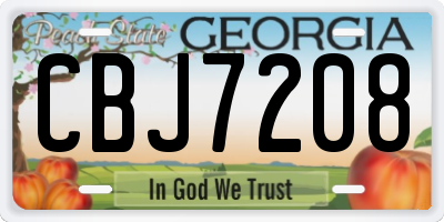 GA license plate CBJ7208