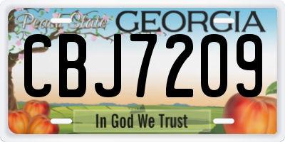 GA license plate CBJ7209