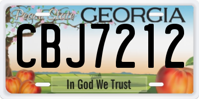 GA license plate CBJ7212