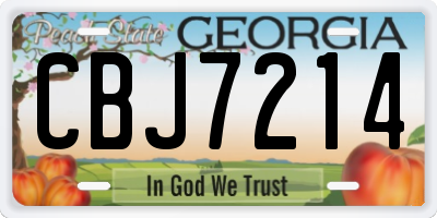 GA license plate CBJ7214