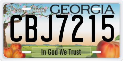 GA license plate CBJ7215