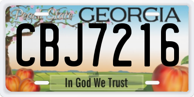 GA license plate CBJ7216