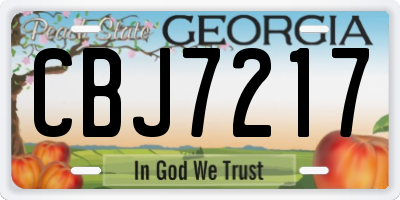 GA license plate CBJ7217