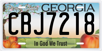GA license plate CBJ7218