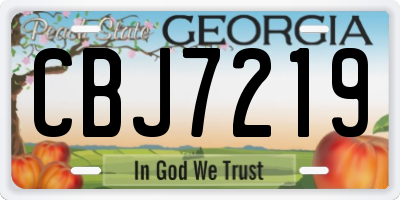 GA license plate CBJ7219