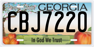 GA license plate CBJ7220