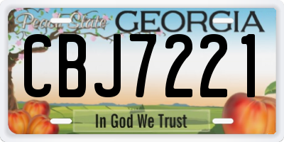 GA license plate CBJ7221