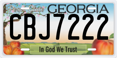 GA license plate CBJ7222