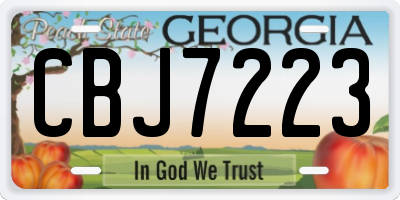 GA license plate CBJ7223