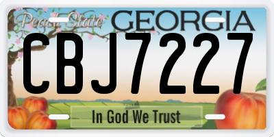 GA license plate CBJ7227