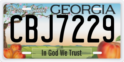 GA license plate CBJ7229