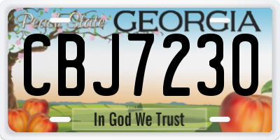 GA license plate CBJ7230