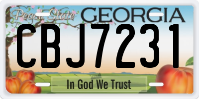 GA license plate CBJ7231