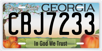GA license plate CBJ7233