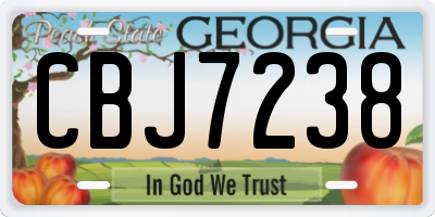 GA license plate CBJ7238