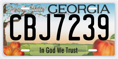 GA license plate CBJ7239