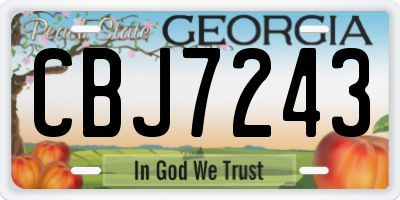GA license plate CBJ7243