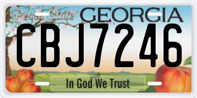 GA license plate CBJ7246