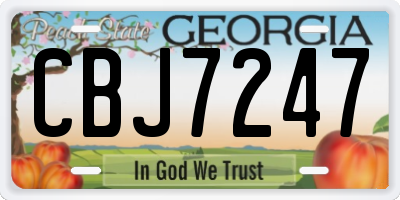GA license plate CBJ7247