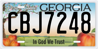 GA license plate CBJ7248