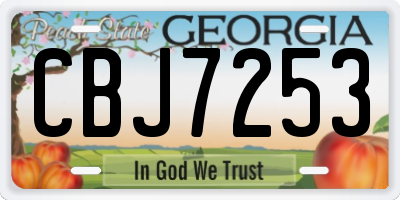 GA license plate CBJ7253