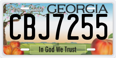 GA license plate CBJ7255