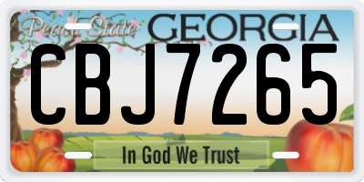 GA license plate CBJ7265