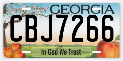 GA license plate CBJ7266