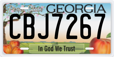GA license plate CBJ7267