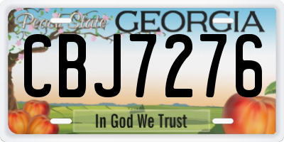 GA license plate CBJ7276