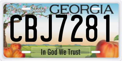 GA license plate CBJ7281