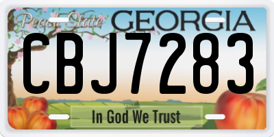 GA license plate CBJ7283