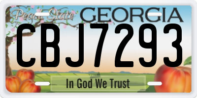GA license plate CBJ7293