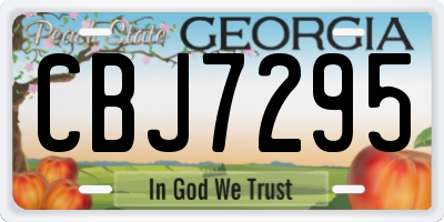 GA license plate CBJ7295