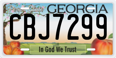 GA license plate CBJ7299