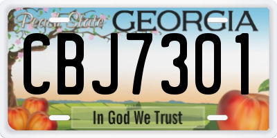 GA license plate CBJ7301