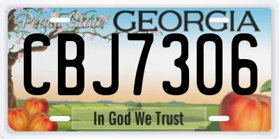 GA license plate CBJ7306