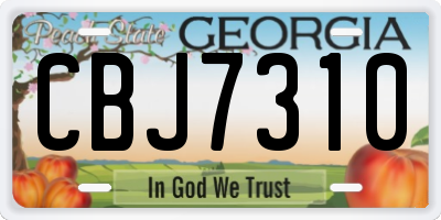 GA license plate CBJ7310
