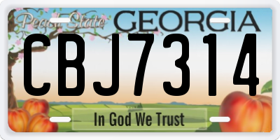 GA license plate CBJ7314