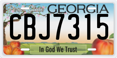 GA license plate CBJ7315